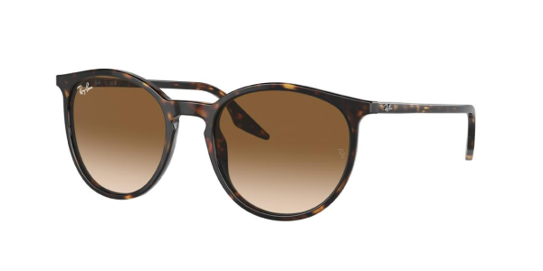 Солнцезащитные очки RAY-BAN RB 2204-902/51 51 Солнцезащитные очки RAY-BAN RB 2204-902/51 51